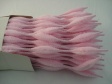 Chenille Bumps 15mm; Light Pink