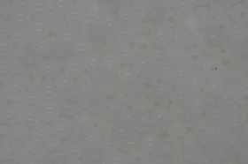 Czech Seed 11/0 R Opaque; C. White 100g