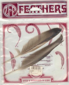 Duck Pointers 2pc H/S